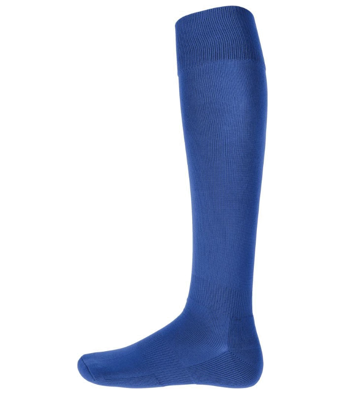 Proact Proact Sports Socks in ROY