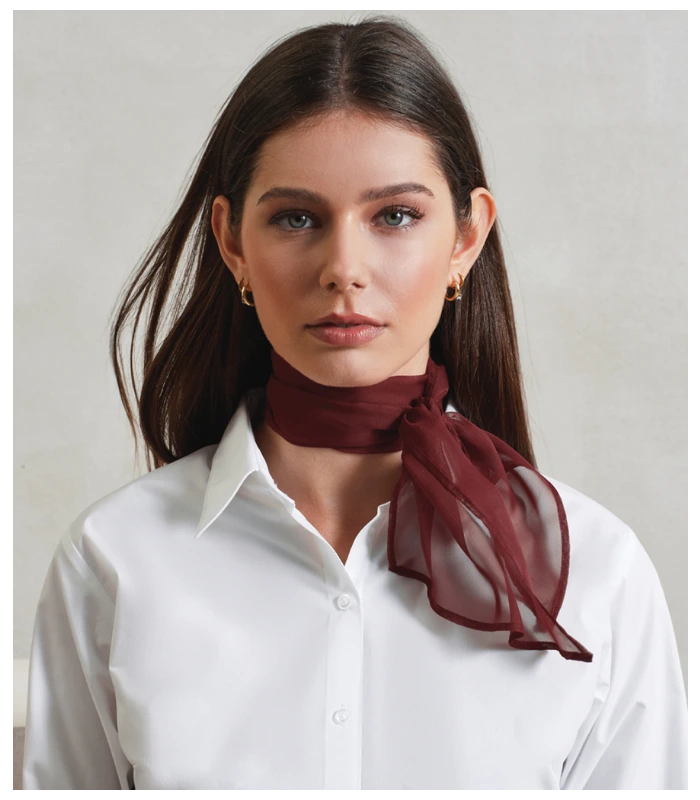 Premier Premier 'Colours' Chiffon Scarf in LBL