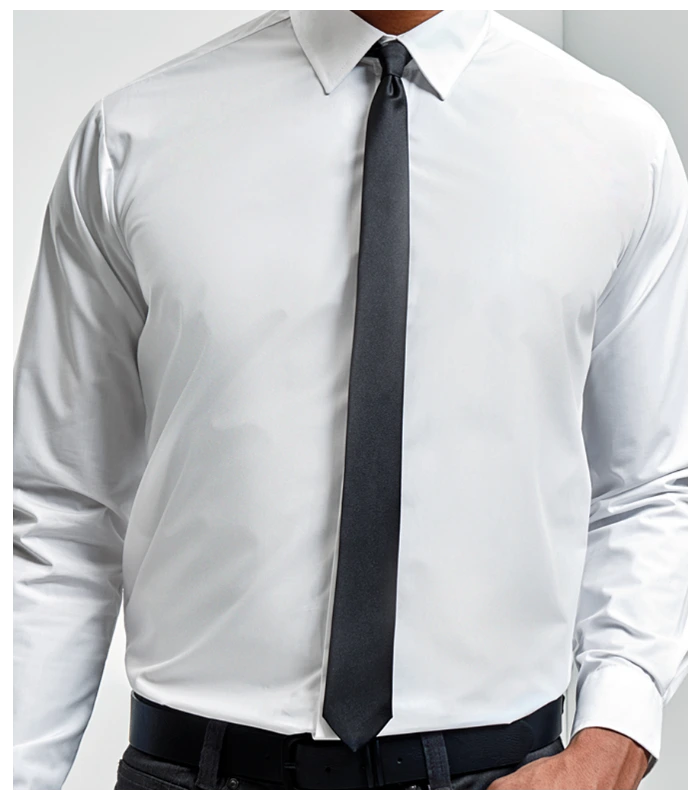 Premier Premier Slim Tie in NAV