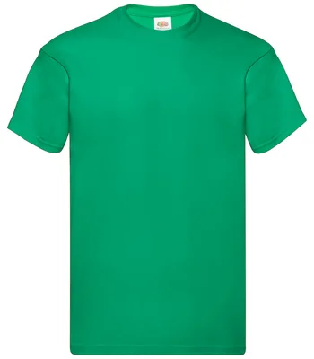 Fruit of the Loom Fruit of the Loom Original T-Shirt in KEL