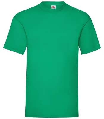 Fruit of the Loom Fruit of the Loom Value T-Shirt in KEL