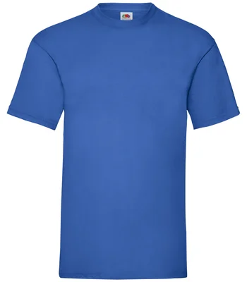 Fruit of the Loom Fruit of the Loom Value T-Shirt in ROY