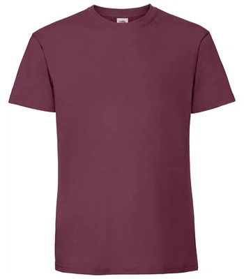 Fruit of the Loom Fruit of the Loom Iconic 195 T-Shirt in BUR