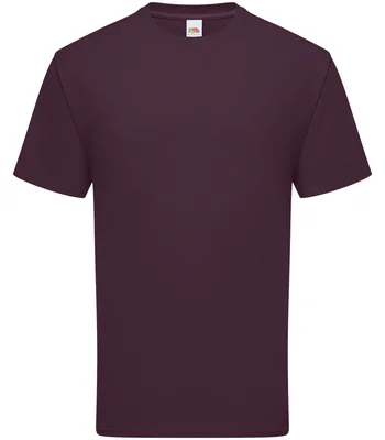 Fruit of the Loom Fruit of the Loom Iconic 195 T-Shirt in DRP
