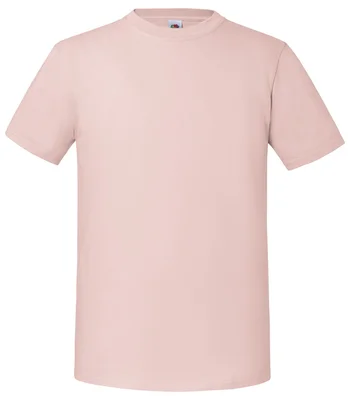 Fruit of the Loom Fruit of the Loom Iconic 195 T-Shirt in PWR
