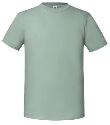 Fruit of the Loom Fruit of the Loom Iconic 195 T-Shirt in SAG