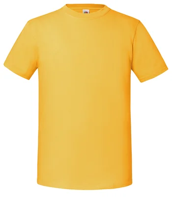 Fruit of the Loom Fruit of the Loom Iconic 195 T-Shirt in SUN