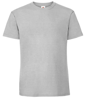 Fruit of the Loom Fruit of the Loom Iconic 195 T-Shirt in ZIN