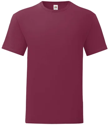 Fruit of the Loom Fruit of the Loom Iconic 150 T-Shirt in BUR