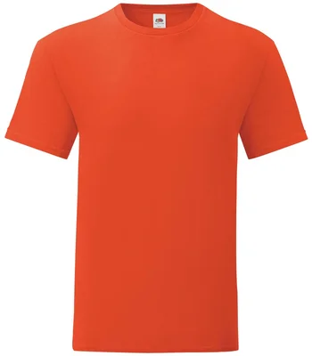 Fruit of the Loom Fruit of the Loom Iconic 150 T-Shirt in FLA