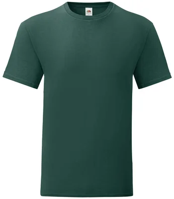 Fruit of the Loom Fruit of the Loom Iconic 150 T-Shirt in FOR