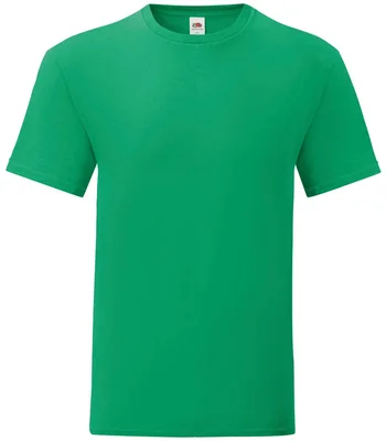 Fruit of the Loom Fruit of the Loom Iconic 150 T-Shirt in KEL