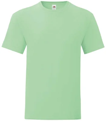 Fruit of the Loom Fruit of the Loom Iconic 150 T-Shirt in NEM