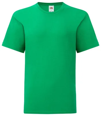 Fruit of the Loom Fruit of the Loom Kids Iconic 150 T-Shirt in KEL
