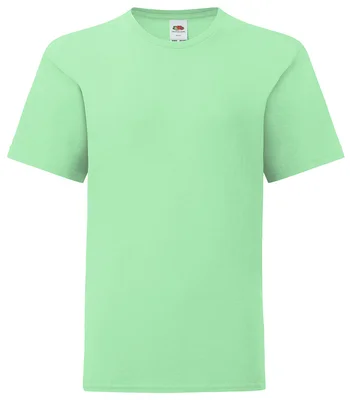 Fruit of the Loom Fruit of the Loom Kids Iconic 150 T-Shirt in NEM