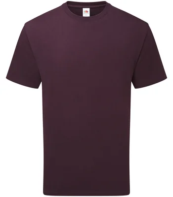 Fruit of the Loom Fruit of the Loom Pure Cotton T-Shirt in DRP