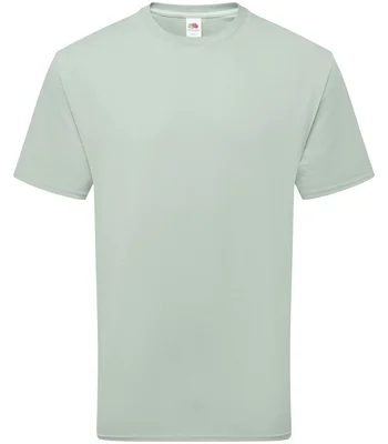 Fruit of the Loom Fruit of the Loom Pure Cotton T-Shirt in SAG