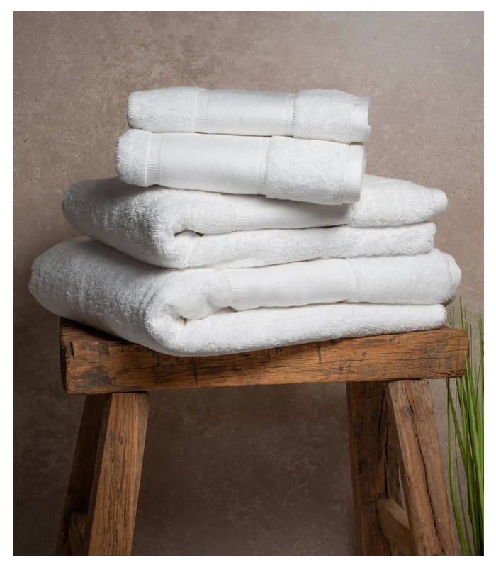 Towel City Towel City Organic Printable Border Hand Towel in WHI
